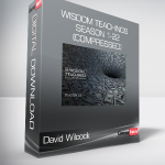 David Wilcock - Wisdom Teachings season 1-22 (Compressed)